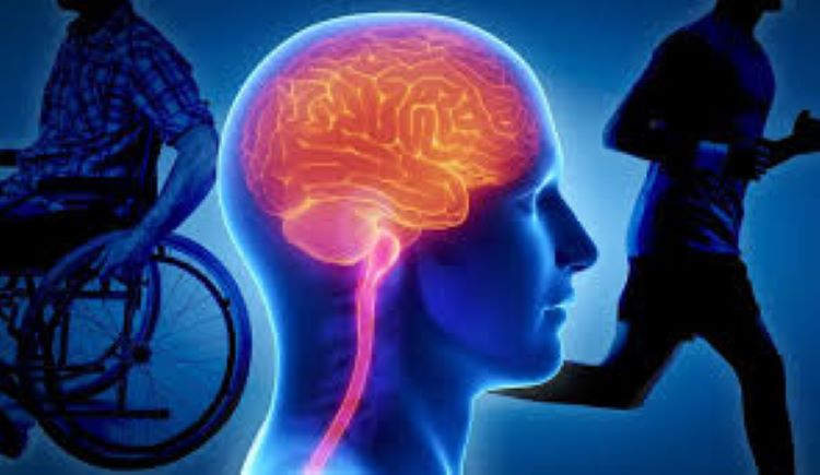 Slika /2024 SLIKE/ataksija_25.9.2024._134917.jpg